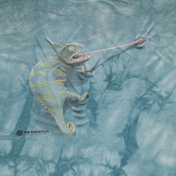 The Mountain Teal Chameleon T-Shirt - Picture 2 of 4